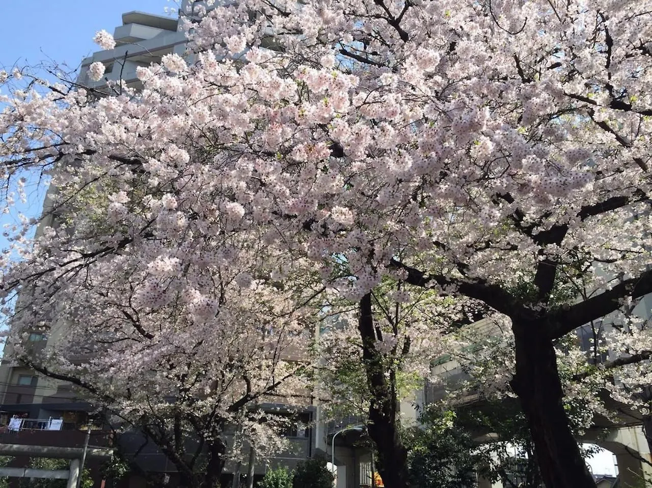 Shibuya Anon #A102 Apartment Tokyo